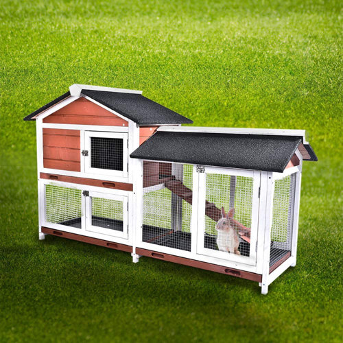 Tucker Murphy Pet™ Gantz Weather Resistant Rabbit Hutch with Ramp